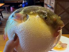 -永安鱼庄·镇江菜(丁卯店)