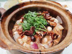 啫啫八爪鱼-和记小菜(大宁店)