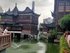 -绿波廊(豫园店)