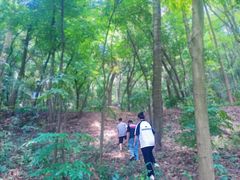 -三门江国家森林公园