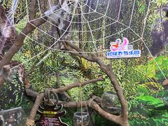 -广州长隆飞鸟乐园