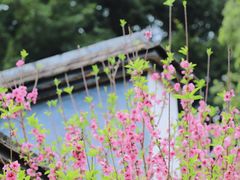 -乌山风景区