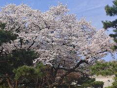 -景福宫