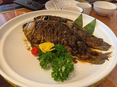 -唐山宴百姓府邸院落中餐