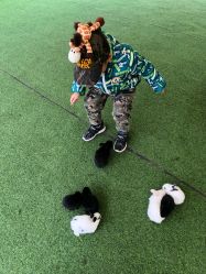 -萌宠亲子动物乐园(槐房万达店)