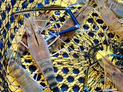 -79号渔船海鲜饭店(华强北店)