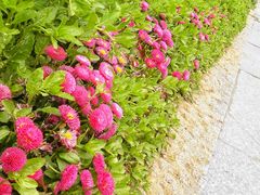 -西湖风景区-江洋畈生态公园