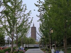 -西海子公园