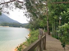 -广州市流溪河国家森林公园
