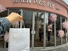 -WHEN PIGS FLY当猪飞