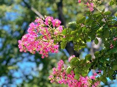 -白塘生态植物园