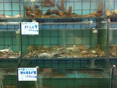 -海岛渔村大酒店(云霄路店)