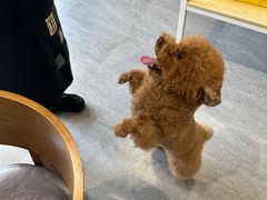 -汤姆宠物(长青北路店)