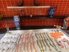 -东华假日酒店自助餐