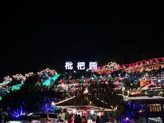 -枇杷园食为鲜火锅(南山店)