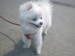 -海底捞火锅(长沙华创国际广场店)