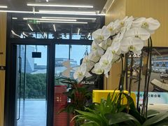 -Z&B Fitness Studio·Gym(前滩L+PLAZA店)