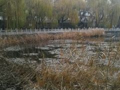 -文瀛公园