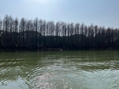 -上海海湾国家森林公园