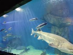 -多彩贵州城极地海洋世界