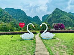 -靖西鹅泉风景区