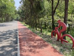 -洪泽湖古堰景区