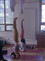 -花间禅净·瑜伽