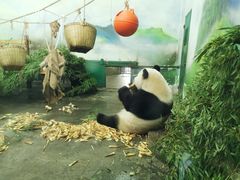 -无锡动物园·太湖欢乐园