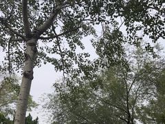 -天津市动物园