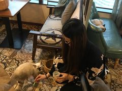 -共舞时光猫咖·狗咖(新街口店)