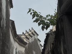 -鸣鹤古镇