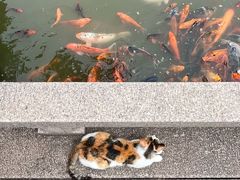 -檀园