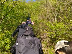 -白河湾生态旅游一条川
