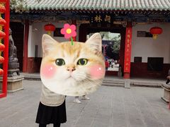 -关林