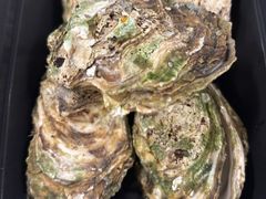 -蚝抵食·湛江生蚝(湾北路店)