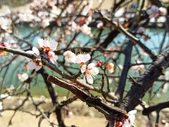 -白塘生态植物园
