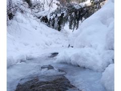 -峡谷浮石林景区