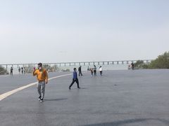 -宝安西湾红树林湿地公园