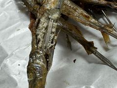 -大勇羊棒骨·烧烤(经六路店)