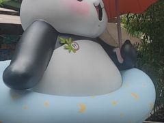 -轩客会(熊猫书店)