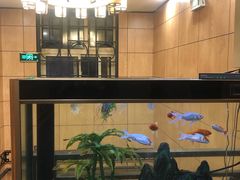-宋都禾源·灌汤包子(汉兴路直营店)