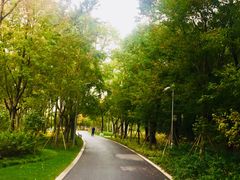 -昆山城市生态森林公园