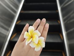 -南信牛奶甜品专家