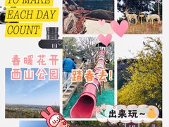 -北京西山国家森林公园