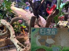 -正佳雨林生态植物园