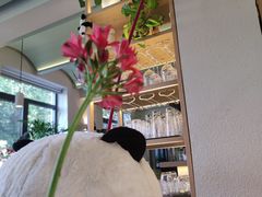 -幸薈飯堂