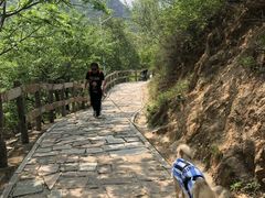 -大岭沟猕猴桃谷风景区