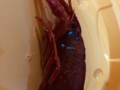 -京炭铜锅涮肉·羊蝎子·羊肉炉(保利·时光里店)