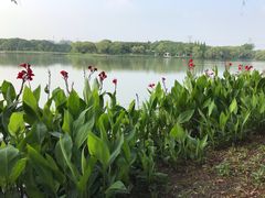 -昆山城市生态森林公园