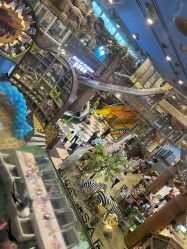 -卡通尼·Safari非洲探索乐园·生日会(金桥国际商业广场店)